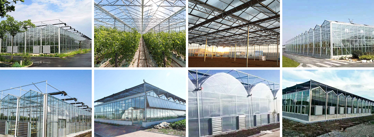 65b455849a213.jpg 未標題-1.jpg