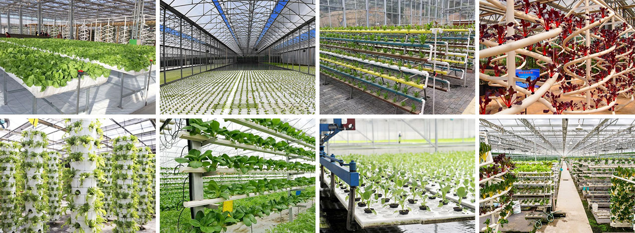 65b4644a20825.jpg 未標(biāo)題-1.jpg